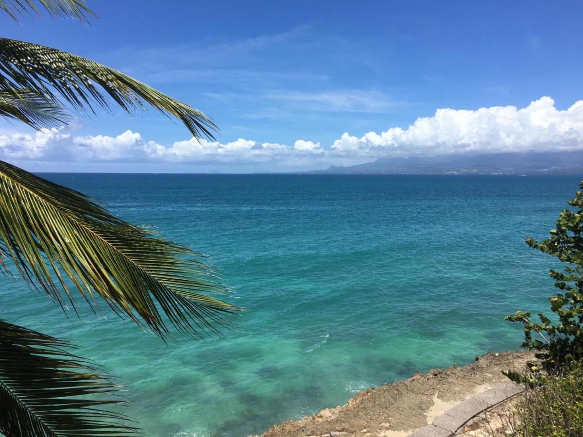 Studio En Duplex , Face A La Mer Le Gosier  Exteriér fotografie